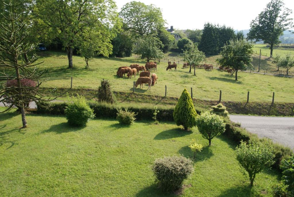 Location Gîtes de France  - Réf : 19G1156