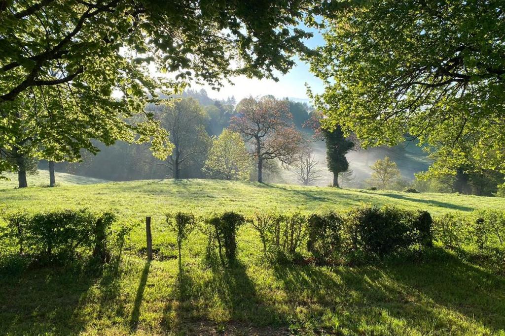 La tiny house des Maisons de Coline