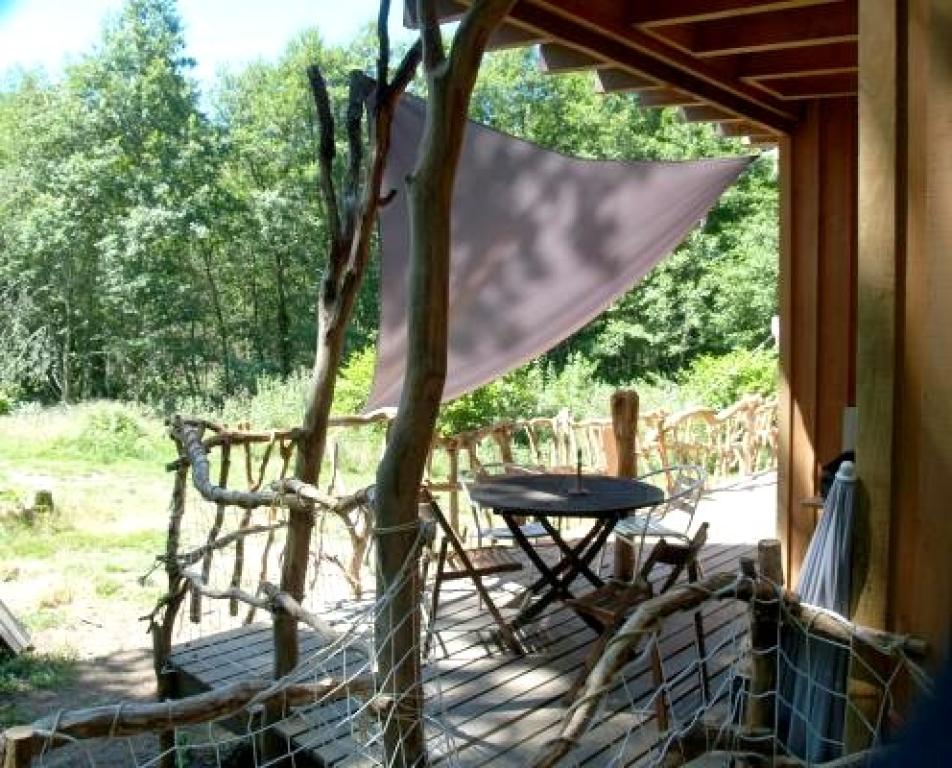 L'Eveil de la Forêt - gîte Au Pied des Hêtres