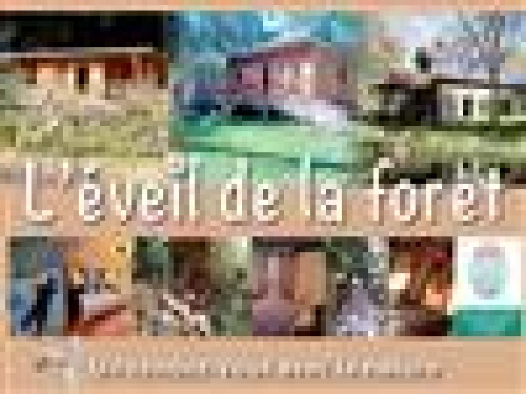 L'Eveil de la Forêt - gîte Au Pied des Hêtres