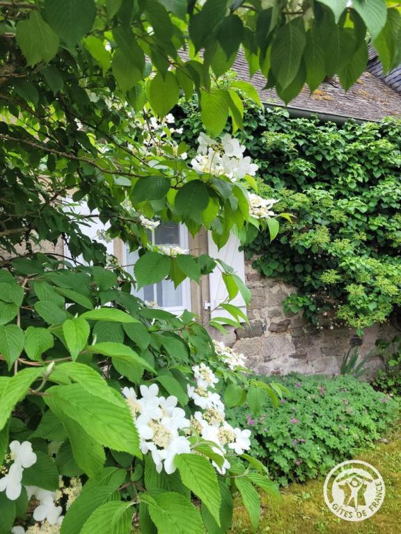 Le Moulin du Juge