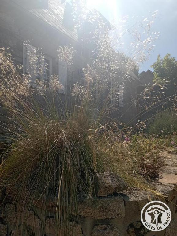 Gîte des Veyssières