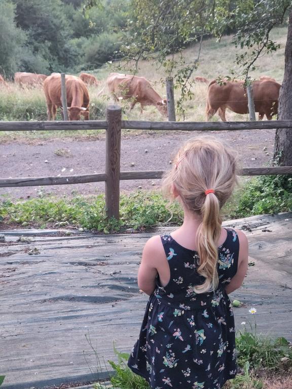 La maison du sabotier