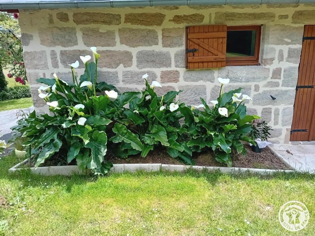 Gîte de la Clairière