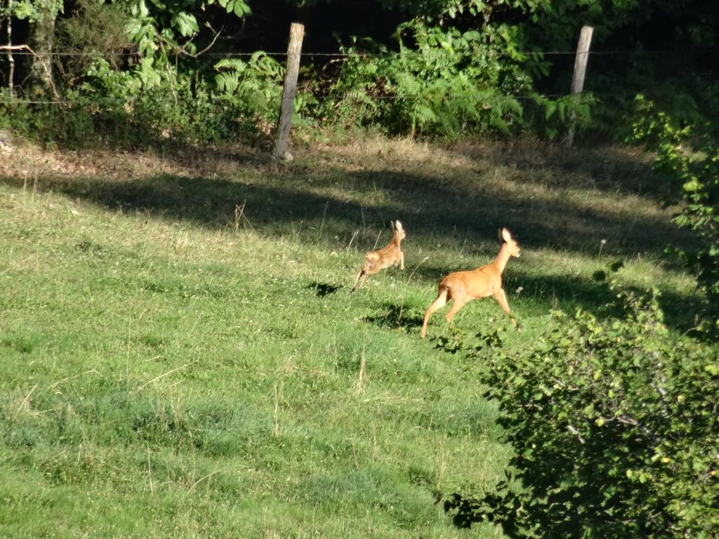 Les Chaumières de Brameix