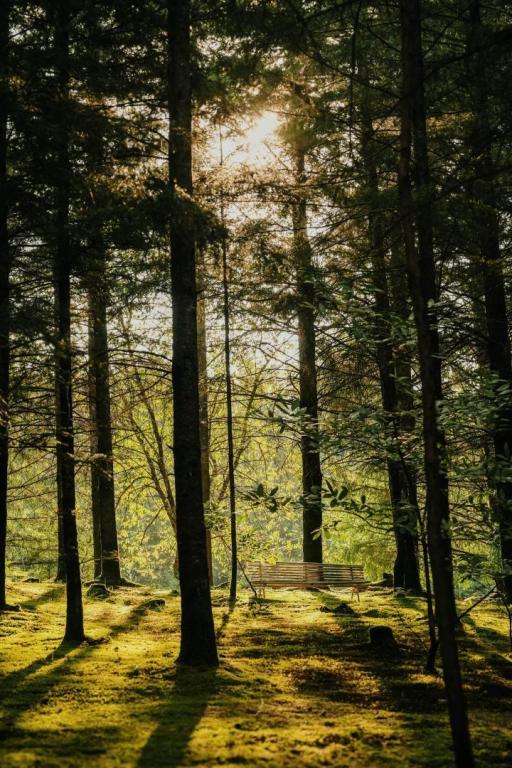 Lodge Spalazen nature Jeanne