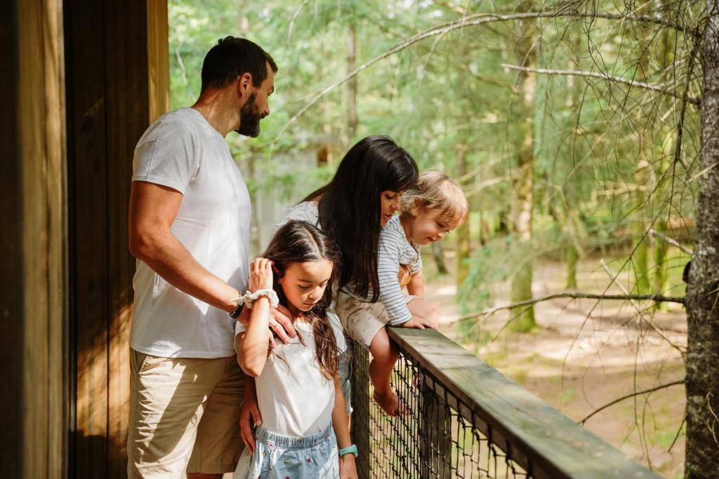 Lodge Spalazen nature Henry