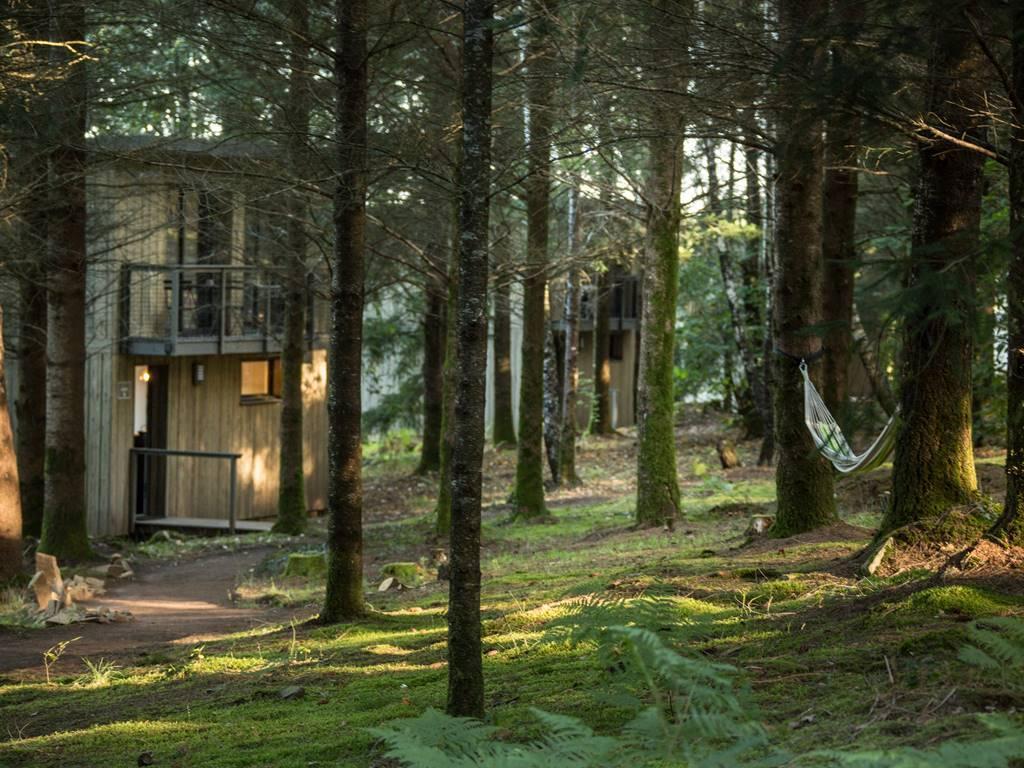 Lodge Spalazen nature Henry