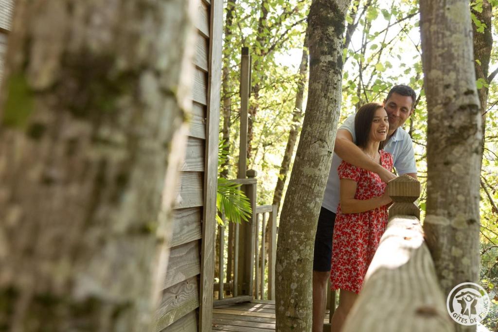 Cyprès si haut cabane et Spa