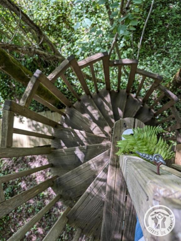 Cyprès si haut cabane et Spa