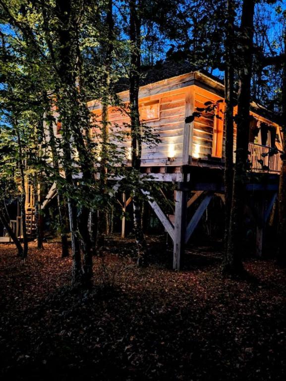 Cyprès si haut cabane et Spa