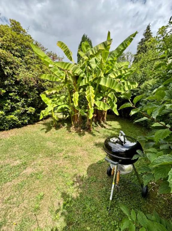 Meublé de Tourisme RELIER