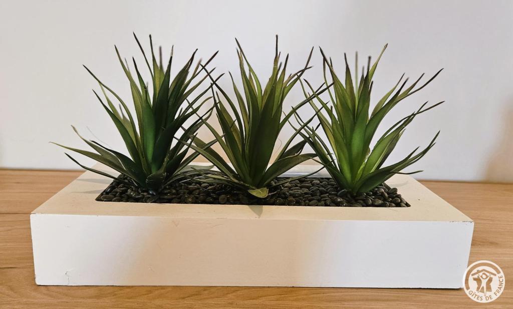 Location Gîtes de France de la Colline