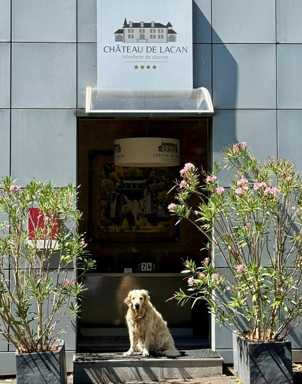 Hôtel Château de Lacan