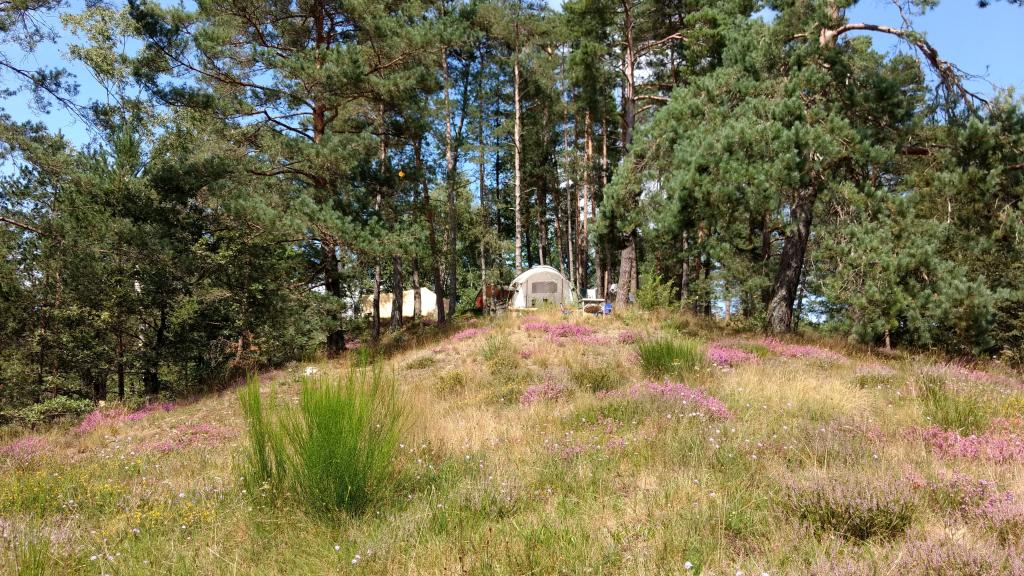 Aire Naturelle Le Moulin de Lacombe