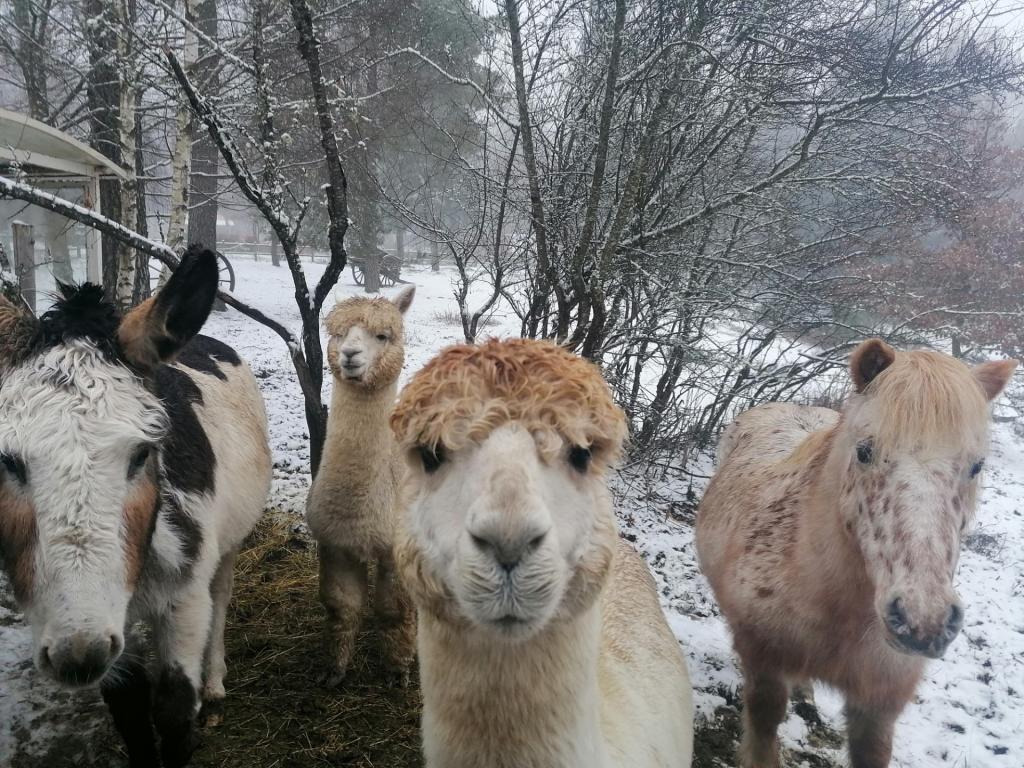 Camping Aux portes des Mille Sources