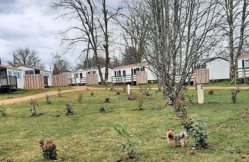 Camping restaurant La Petite Rivière