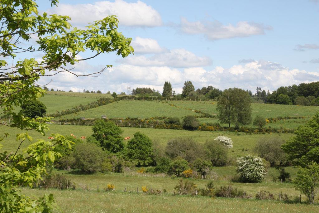 Aire de bivouac de la Maison du Parc Naturel Régional de Millevaches