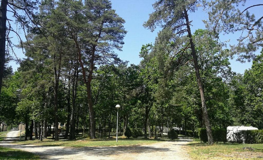 Camping au coeur du parc