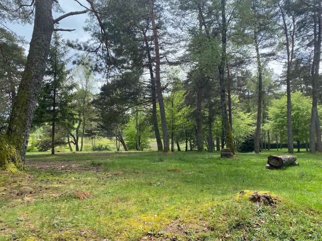 Camping au coeur du parc