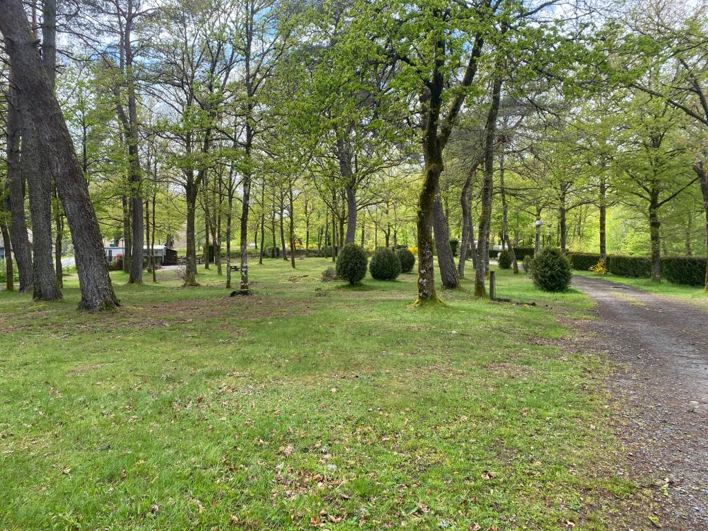 Camping au coeur du parc