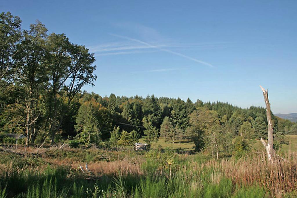 Camping des Monédières