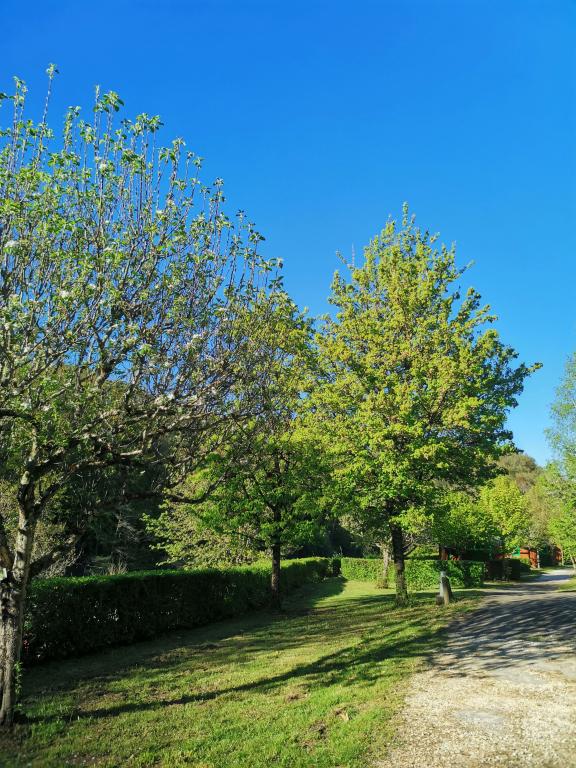 Camping de la Minoterie