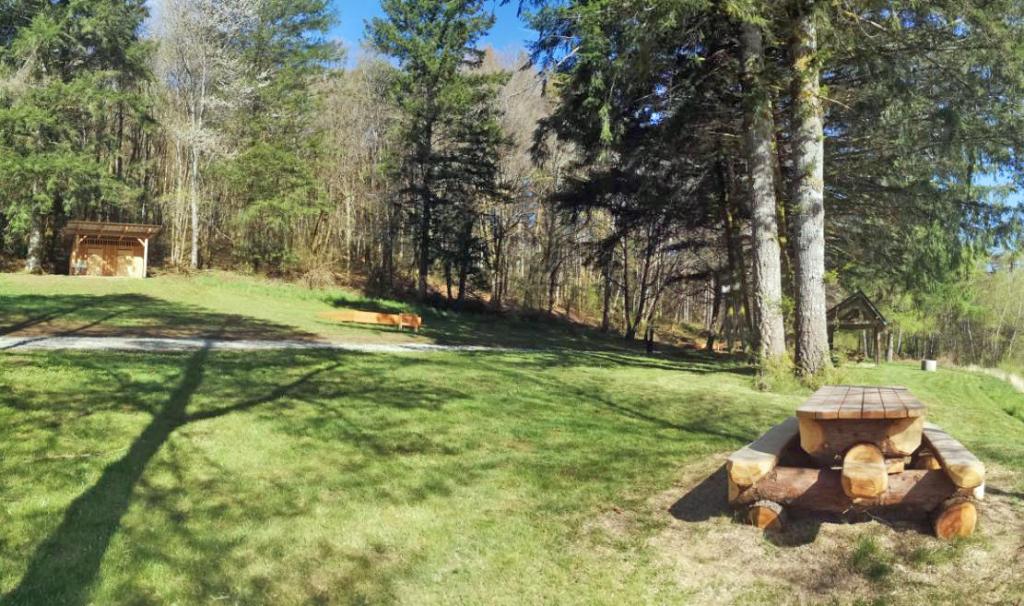 Aire de bivouac de la Tine à Sarran