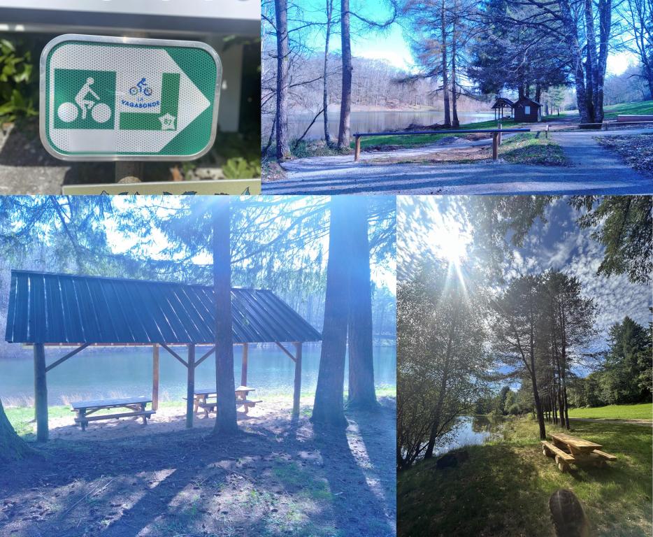 Aire de bivouac de la Tine à Sarran