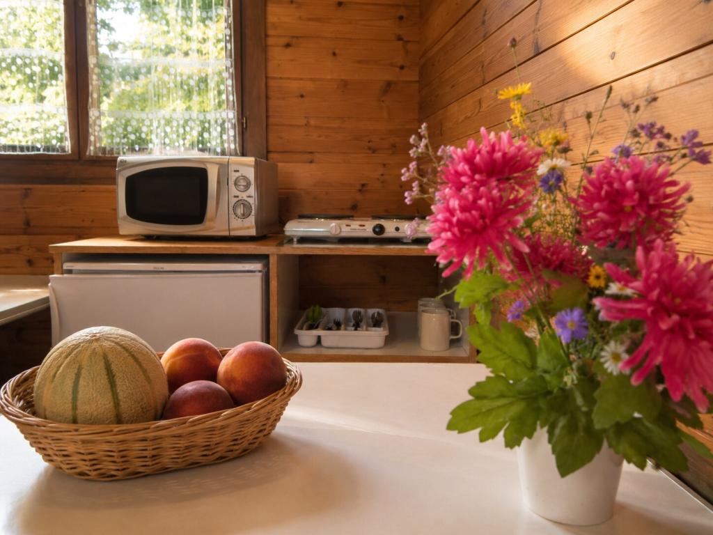 Chalet 4 personnes camping de la Garenne