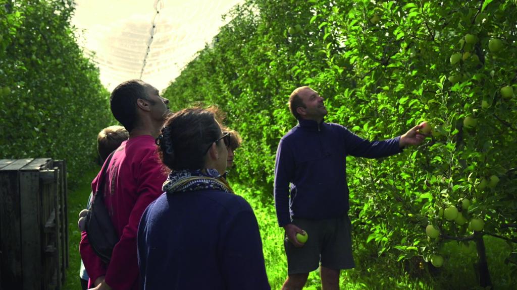 Route de la Pomme du Limousin AOP