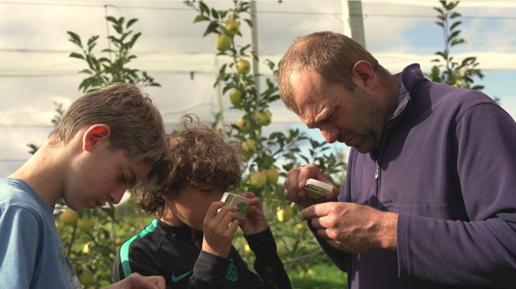 Route de la Pomme du Limousin AOP