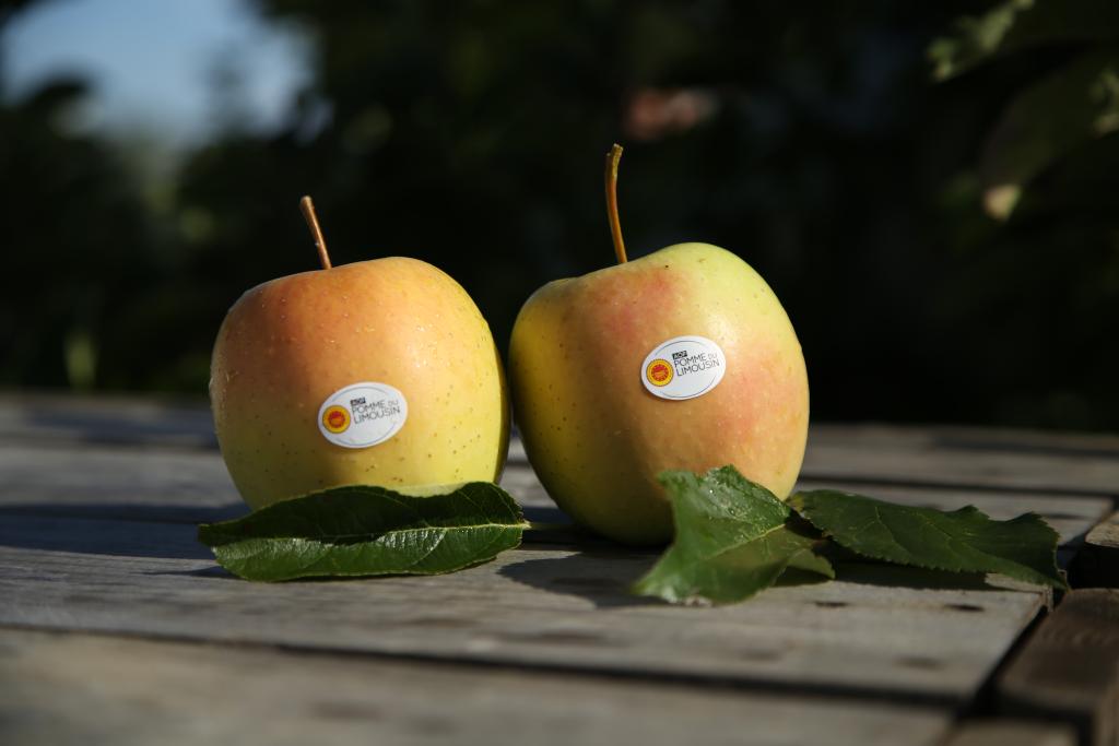 Route de la Pomme du Limousin AOP