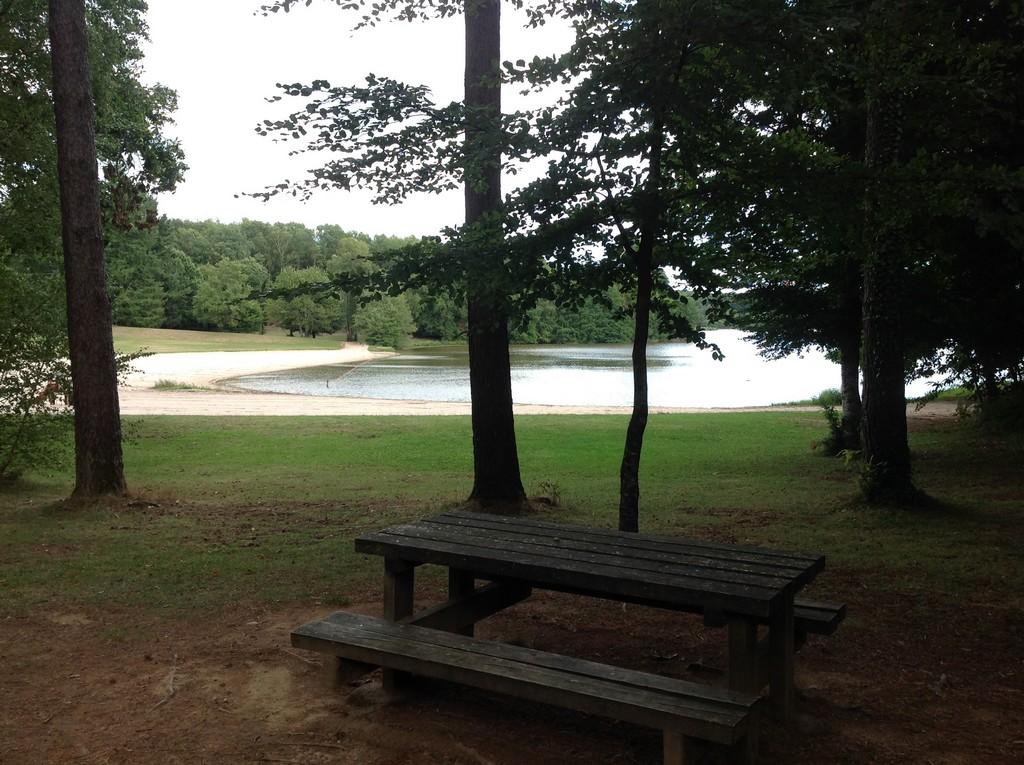 Aire de pique-nique du Lac du Coiroux