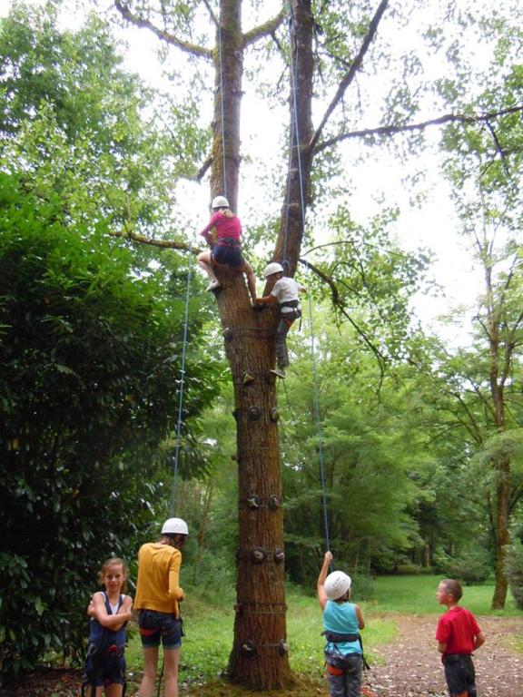 Escalad'arbre Escapade Nature Pays d'Argentat