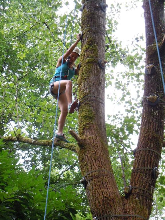 Escalad'arbre Escapade Nature Pays d'Argentat