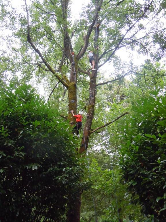 Escalad'arbre Escapade Nature Pays d'Argentat