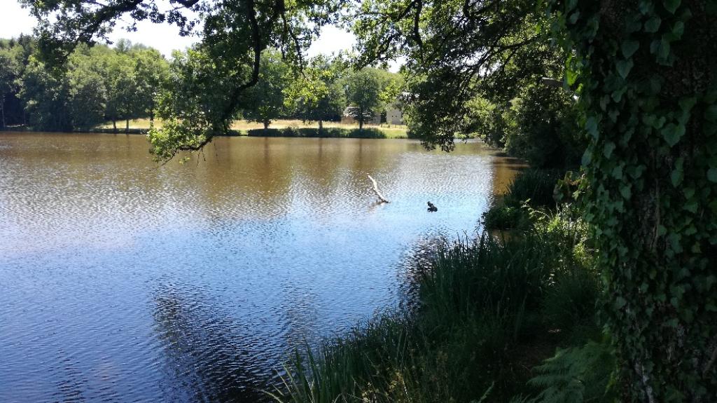 Étang de la Ganetorte