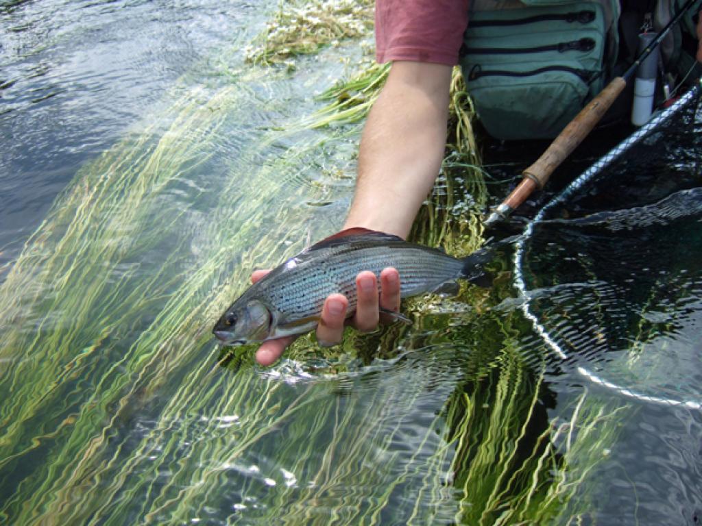 Maison de l'Eau et de la Pêche de la Corrèze