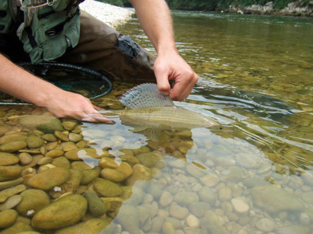 Maison de l'Eau et de la Pêche de la Corrèze