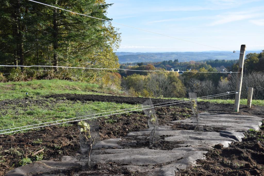 Belvédère du Puy Foissac