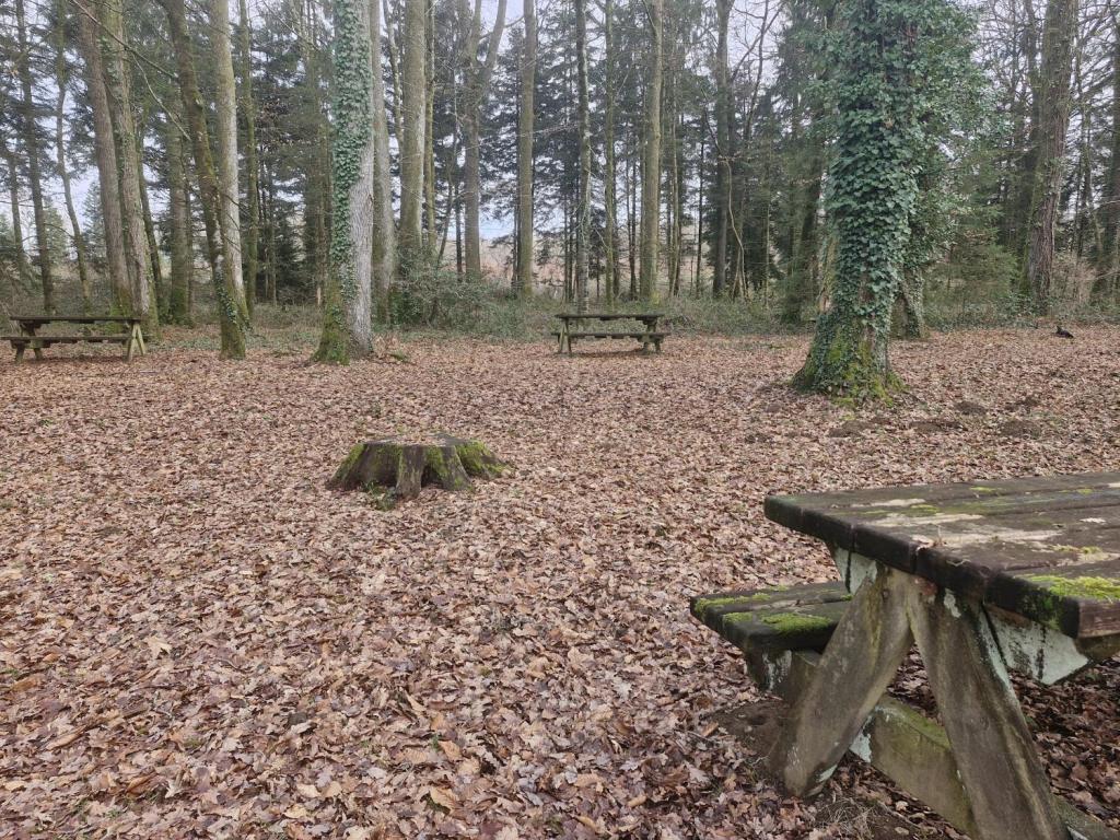 Aire de l'Etang de la Forêt