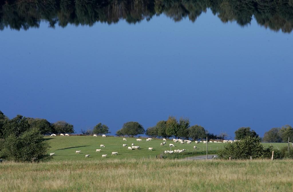 Golf rural du Chammet