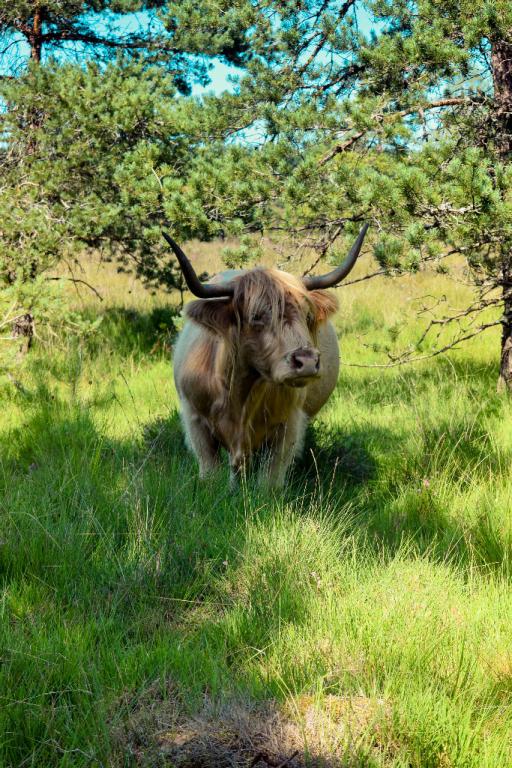 La ferme de Jolie Fleur