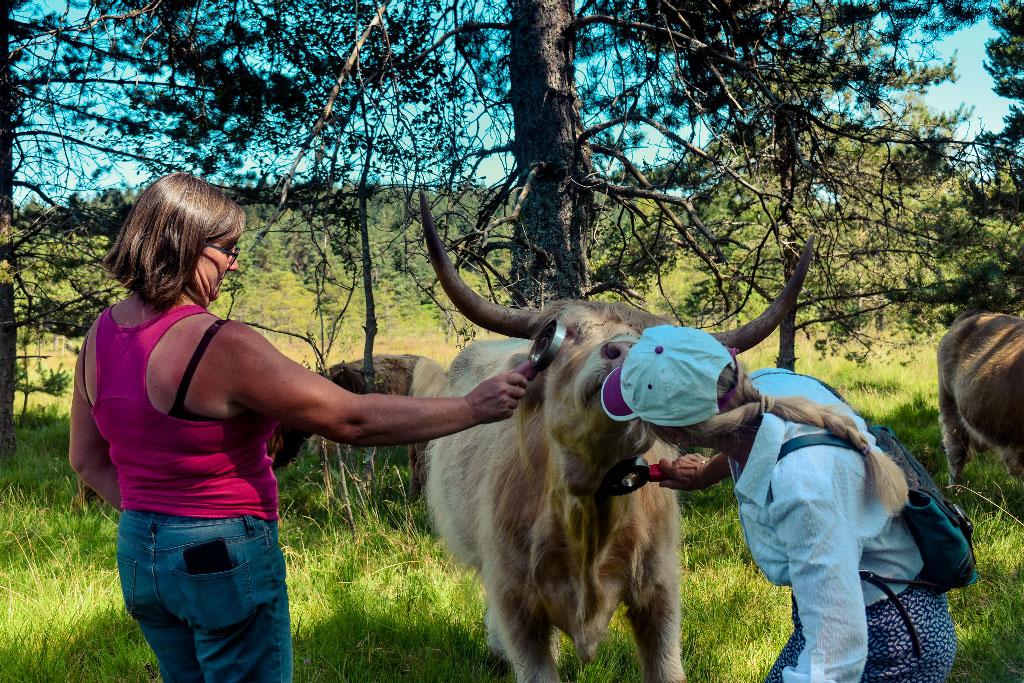 La ferme de Jolie Fleur