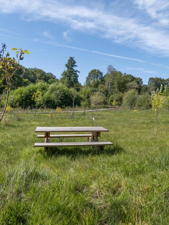 Table de pique-nique de la place