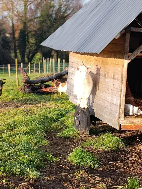 Ferme pédagogique : Au pré du vivant