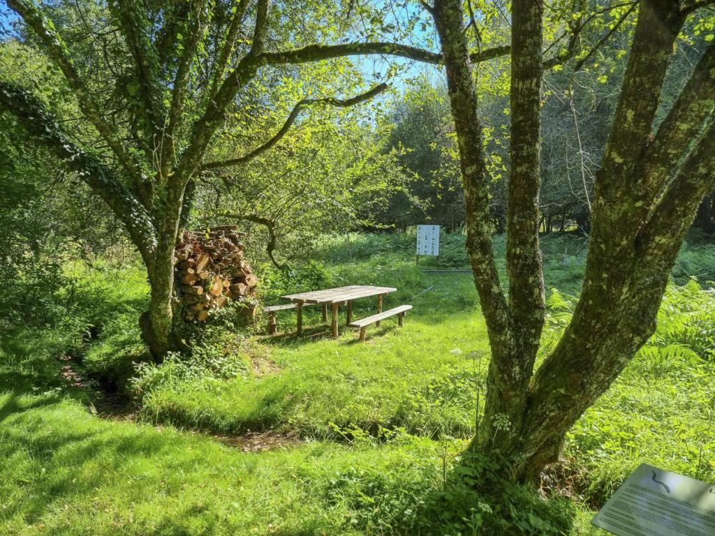 Table de pique nique