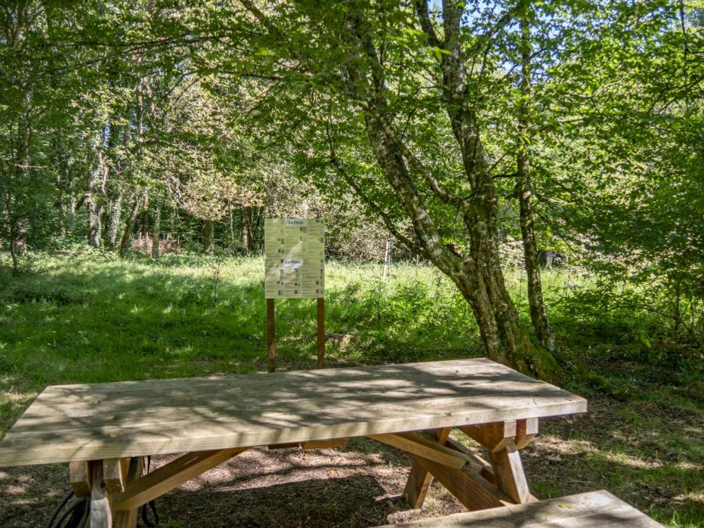 Table de pique nique