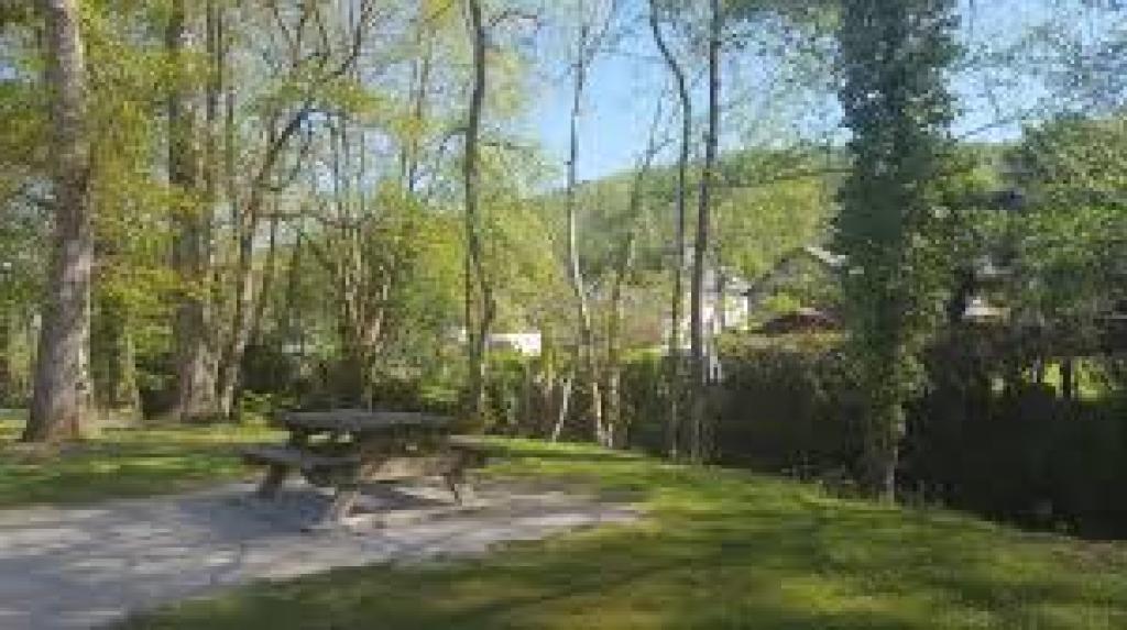 Table de pique nique